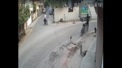 Video grab of the man shooting the dog dead (SOURCED)