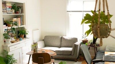 From natural illumination to greenery, focus on making the interiors warm and calming. (Picture credit: Unsplash) From natural illumination to greenery, focus on making the interiors warm and calming. (Picture credit: Unsplash)
