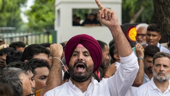 Congress MP Amrinder Singh Raja Warring (PTI Photo)