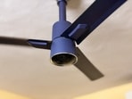 Goldmedal Spacio BLDC Fan in Blue