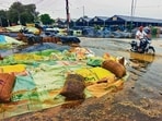 The light to moderate rain drenched thousands of metric tonnes of paddy heaps and sacks lying open at purchase centres across the region. (HT)