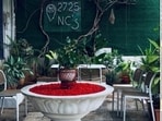 The open courtyard entry at Neon Castle features a white marble fountain, ivy foliage, and vintage seating. A spread of Neon Castle’s signature fusion dishes, including their 'Mysore ramen' (right). (Pics: Sanya Panwar)