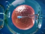 IVF