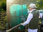 Eight wild buffaloes from Assam’s Kaziranga National Park have moved into a 17-hectare enclosure at Kanha Tiger Reserve, beginning the next phase of Madhya Pradesh’s effort to restore the species after nearly a century. 