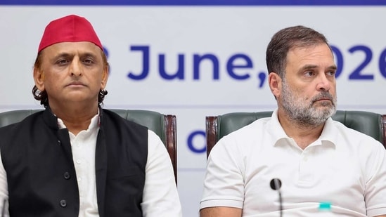 While the NDA appears cemented in the state, the Opposition remains in disarray, even though the INDIA bloc, mainly the Samajwadi Party (SP) and the Congress, may jointly take on the BJP.