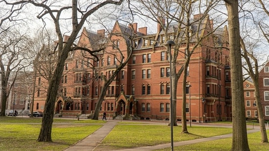 Harvard Law's 13 externships off-limits to international students after US guidance. (Unsplash)
