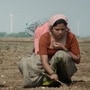 Jo Jo Glimpse: మనోభావాల బ్యాచ్ దూరంగా ఉండండి.. చాలా బోల్డ్‌గా జో జో గ్లింప్స్ వీడియో.. వర్షం పడితే వజ్రాలు.. బూతులు