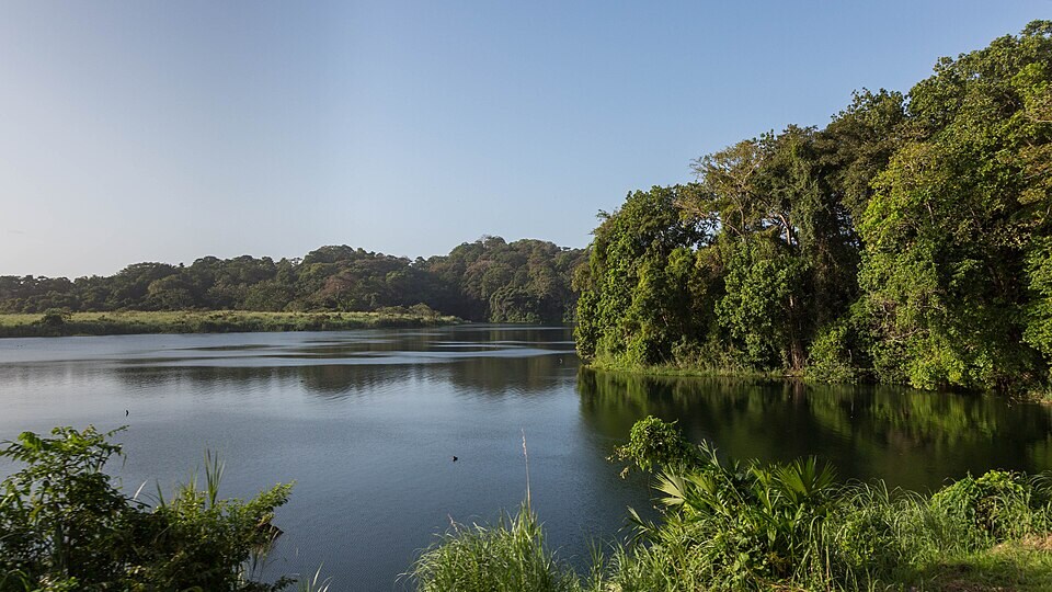 Panama’s Gatun Lake, part of the Panama Canal system, is another place where peacock bass changed local fish life. (Wikimedia Commons) Panama’s Gatun Lake, part of the Panama Canal system, is another place where peacock bass changed local fish life. (Wikimedia Commons)