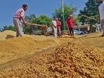 Even payments for procured crops were not being made to farmers on time. (HT PHOTO)