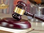 The government failed to meet the deadline and filed an appeal in the Supreme Court on September 1. (HT File)