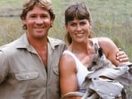From a packing shed to more than 136,000 patients: The story of Steve and Terri Irwin's wildlife hospital.