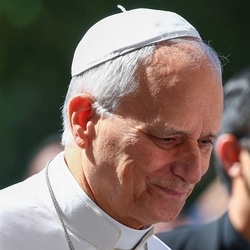 Pope Leo has been diagnosed with lung cancer, the Vatican announced. 