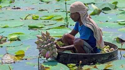 আগামিকাল চতুর্থী! ১৪ অক্টোবর ২০২৬র রাশিফলে দেখে নিন মেষ থেকে মীনের ভাগ্য (PTI Photo) (PTI10_13_2026_000016A) (PTI) আগামিকাল চতুর্থী! ১৪ অক্টোবর ২০২৬র রাশিফলে দেখে নিন মেষ থেকে মীনের ভাগ্য (PTI Photo) (PTI10_13_2026_000016A) (PTI)