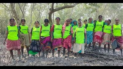 The group that is now called the ‘Mangrove Army’ was formed in 2009, after cyclone Aila devastated the Sundarbans, by Umashankar Mondal, a government schoolteacher in West Bengal. (HT Sourced Photo) The group that is now called the ‘Mangrove Army’ was formed in 2009, after cyclone Aila devastated the Sundarbans, by Umashankar Mondal, a government schoolteacher in West Bengal. (HT Sourced Photo)