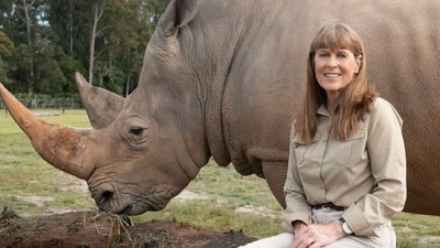 One purchase, 33,000 acres: Terri Irwin carried Steve’s conservation plan forward in 2015. (@terriirwincrikey/Instagram) One purchase, 33,000 acres: Terri Irwin carried Steve’s conservation plan forward in 2015. (@terriirwincrikey/Instagram)