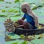 আগামিকাল চতুর্থী! ১৪ অক্টোবর ২০২৬র রাশিফলে দেখে নিন মেষ থেকে মীনের ভাগ্য (PTI Photo) (PTI10_13_2026_000016A)