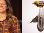 What began as Kelly Clarkson’s complaint about being dismissed at a Brooklyn curiosity shop has turned into an unlikely viral saga,