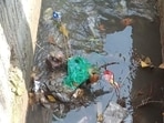 The residents’ welfare association said that drains continue to be enlarged every year on the guise of cleaning, but has only caused mixing of sewage with the stormwater outlet. (HT Photo)
