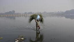 Pune bans fodder transport outside district amid drought concerns Pune bans fodder transport outside district amid drought concerns