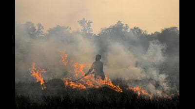 Centre stresses need for monitoring after 3pm, when farmers tend to set fields ablaze to evade satellite detection. (HT)