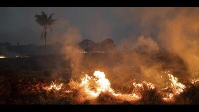 Farm fires are a major reason for pollution in northwestern India and the NCR. (AP/Representative) Farm fires are a major reason for pollution in northwestern India and the NCR. (AP/Representative)