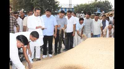 Haryana assembly speaker Harvinder Kalyan visited the grain market on Wednesday to review the purchase. He said that many millers have agreed to participate starting Thursday. (HT Photo)