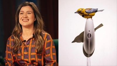What began as Kelly Clarkson’s complaint about being dismissed at a Brooklyn curiosity shop has turned into an unlikely viral saga, What began as Kelly Clarkson’s complaint about being dismissed at a Brooklyn curiosity shop has turned into an unlikely viral saga,