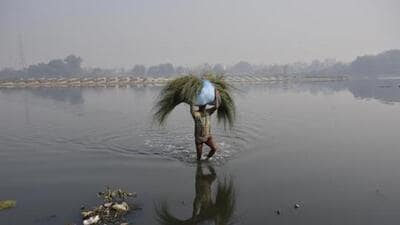 New Delhi, India - January 18, 2019: A man is reflected on the water of Yamuna as he carries fodder for his cattle, at Kashmere Gate, in New Delhi, India, on Friday, January 18, 2019. (Photo by Biplov Bhuyan / Hindustan Times) (Biplov Bhuyan/HT PHOTO) New Delhi, India - January 18, 2019: A man is reflected on the water of Yamuna as he carries fodder for his cattle, at Kashmere Gate, in New Delhi, India, on Friday, January 18, 2019. (Photo by Biplov Bhuyan / Hindustan Times) (Biplov Bhuyan/HT PHOTO)