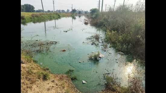 A field officer inspected the site on October 7 and found evidence of open solid waste dumping, along with stormwater from the village flowing into the HSVP green belt, the order stated. (HT)