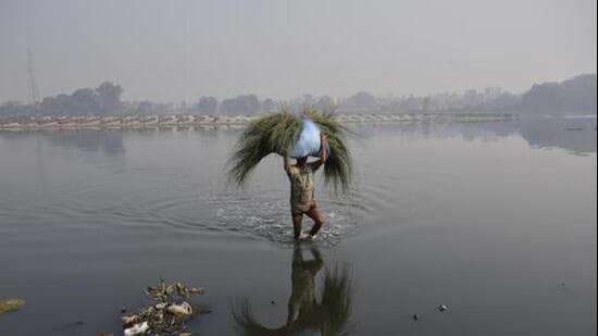 New Delhi, India - January 18, 2019: A man is reflected on the water of Yamuna as he carries fodder for his cattle, at Kashmere Gate, in New Delhi, India, on Friday, January 18, 2019. (Photo by Biplov Bhuyan / Hindustan Times) (Biplov Bhuyan/HT PHOTO)