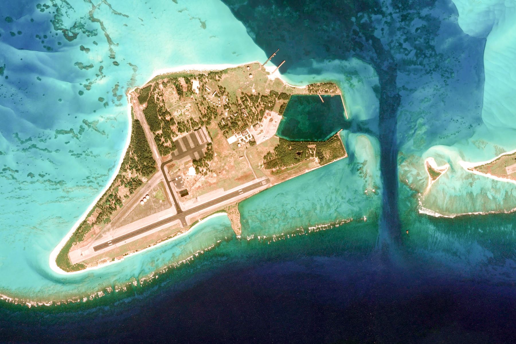 Midway Atoll’s 2026 count of 1,239 adult Laysan ducks marks a refuge record and shows the impact of conservation and relocation efforts. However, the species remains endangered, with its limited range, rising sea levels, flooding and potential environmental disasters posing continuing threats. (Wikimedia Commons) Midway Atoll’s 2026 count of 1,239 adult Laysan ducks marks a refuge record and shows the impact of conservation and relocation efforts. However, the species remains endangered, with its limited range, rising sea levels, flooding and potential environmental disasters posing continuing threats. (Wikimedia Commons)
