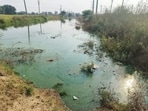 A field officer inspected the site on October 7 and found evidence of open solid waste dumping, along with stormwater from the village flowing into the HSVP green belt, the order stated. (HT)