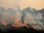 Centre stresses need for monitoring after 3pm, when farmers tend to set fields ablaze to evade satellite detection. (HT)