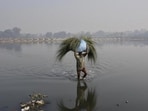 New Delhi, India - January 18, 2019: A man is reflected on the water of Yamuna as he carries fodder for his cattle, at Kashmere Gate, in New Delhi, India, on Friday, January 18, 2019. (Photo by Biplov Bhuyan / Hindustan Times) (Biplov Bhuyan/HT PHOTO)