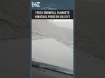 Himachal Pradesh: Snowfall Begins In Bharatpur, Baralacha And Suraj Tal  | HT India