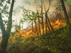 Henderson Fire threatens Camp Pendleton in San Diego County, prompting evacuations as blaze grows to 150 acres.