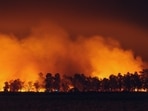 Santa Paula Cornell Fire burns in Ventura County as evacuation warnings and shelter orders remain active.(Unsplash)