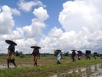 Women farmer 