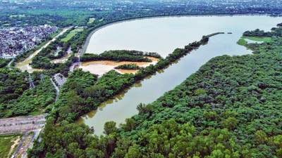 Spread over 565 acres, Sukhna wetland is surrounded by a catchment area of more than 10,000 acres that includes a wildlife sanctuary. (HT File) Spread over 565 acres, Sukhna wetland is surrounded by a catchment area of more than 10,000 acres that includes a wildlife sanctuary. (HT File)