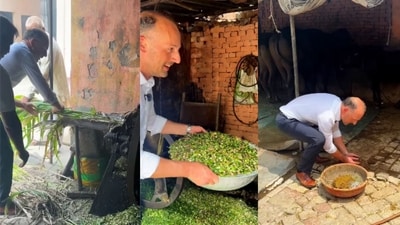 Marius Osswald is Minister Counsellor and Head of Political Affairs at the German Embassy in New Delhi. (Instagram/@germanyinindia) Marius Osswald is Minister Counsellor and Head of Political Affairs at the German Embassy in New Delhi. (Instagram/@germanyinindia)