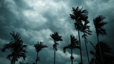 ఏపీ, తెలంగాణ వర్షాలు ఏపీ, తెలంగాణ వర్షాలు