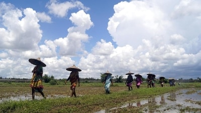 Women farmer (ANI) Women farmer (ANI)