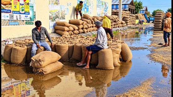 As per the IMD’s Chandigarh centre, the state has reported 14.2 mm rain, which is higher than the normal rainfall of 2.4 mm in the week between October 9 and 15. (Manoj Dhaka/HT)