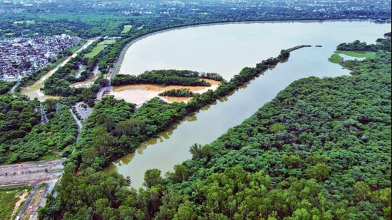Spread over 565 acres, Sukhna wetland is surrounded by a catchment area of more than 10,000 acres that includes a wildlife sanctuary. (HT File)