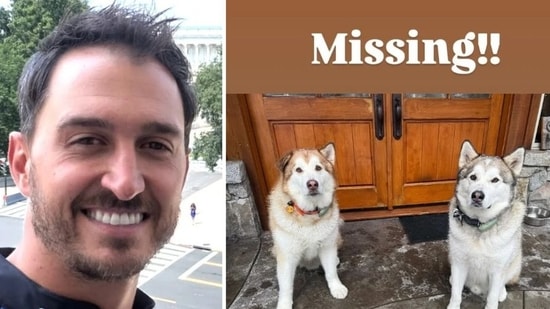 Who is Graham Rahal? IndyCar star's 2 pooches allegedly dognapped from California home