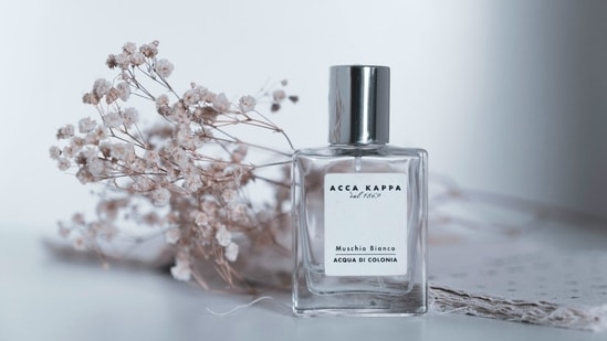 Can an affordable perfume last longer than a luxury fragrance?