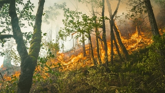 Henderson Fire threatens Camp Pendleton in San Diego County, prompting evacuations as blaze grows to 150 acres.(Unsplash)