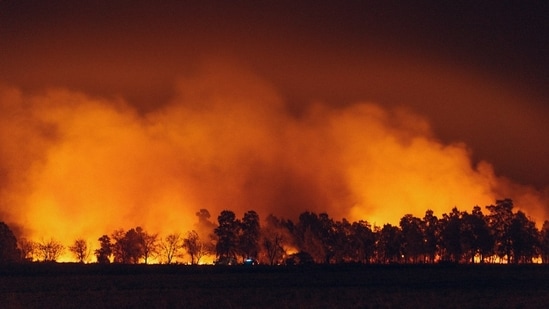 Santa Paula Cornell Fire burns in Ventura County as evacuation warnings and shelter orders remain active.