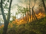 Malibu Bryson Fire