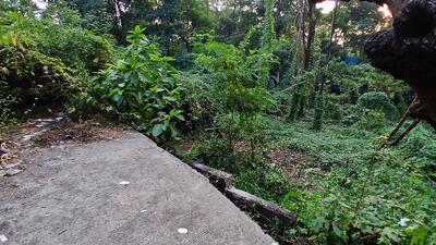 This is the spot where the accused allegedly murdered the victim and attempted to burn the body. (Praful Gangurde/ HT Photo) This is the spot where the accused allegedly murdered the victim and attempted to burn the body. (Praful Gangurde/ HT Photo)